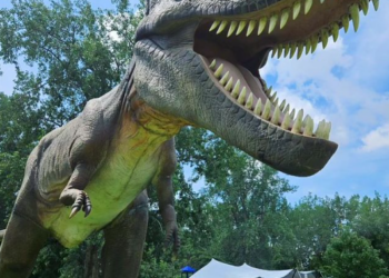 متحف التاريخ الطبيعي في مونتريال يستضيف عرضاً متحركاً للديناصورات