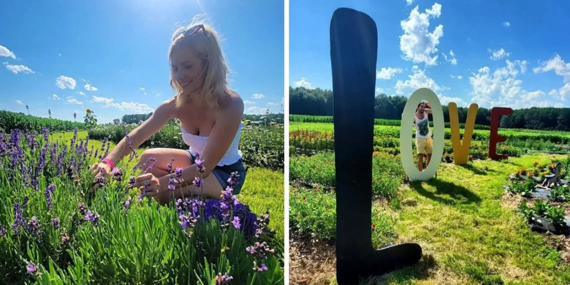 عودة مهرجان الزهور المميز إلى La Belle de Coteau-du-Lac