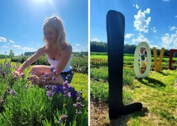 عودة مهرجان الزهور المميز إلى La Belle de Coteau-du-Lac