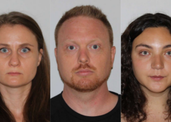 إلقاء القبض على 3 أشخاص لتورطهم في عمليات سرقة وتصدير السيارات