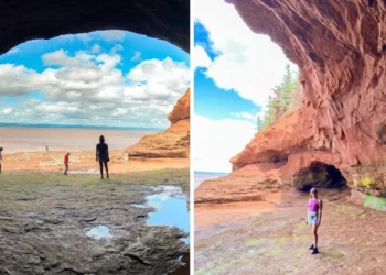 استمتع بمشاهدة أعلى مد وجزر في العالم في هذا المنتزه الكندي