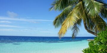 شركة طيران كندية جديدة مع رحلات إلى منطقة البحر الكاريبي بأقل من 220 دولار