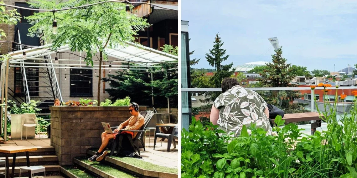 9 أماكن مميزة للدراسة أو قراءة كتاب بهدوء في مونتريال