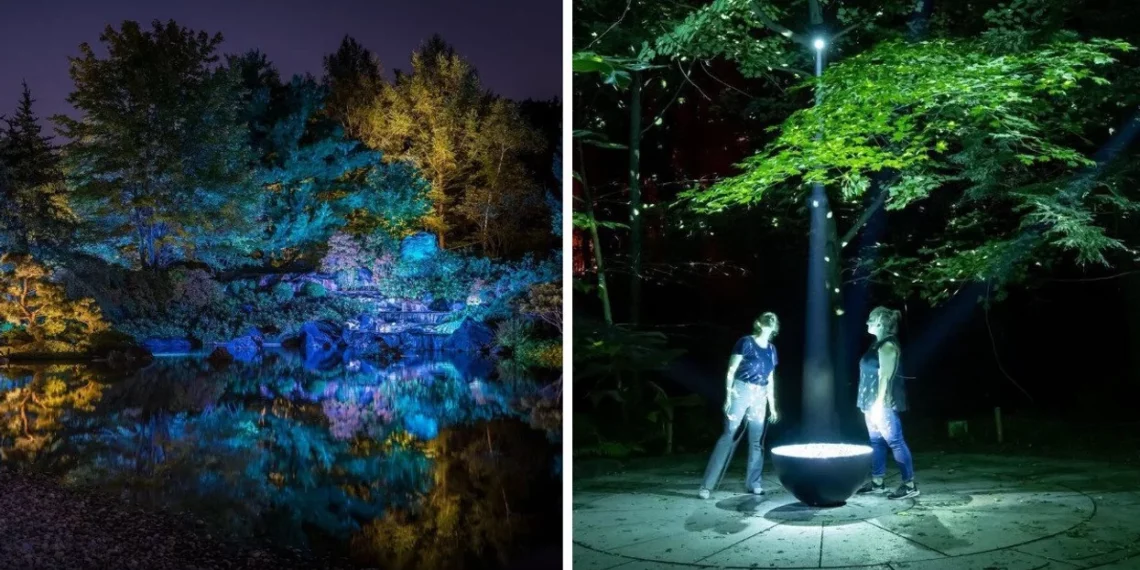 استكشف مهرجان Gardens of light الساحر في مونتريال