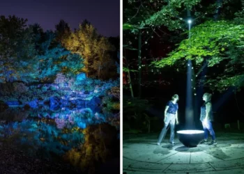 استكشف مهرجان Gardens of light الساحر في مونتريال