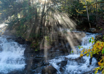 16 موقعاً من أفضل أماكن التخييم قرب مونتريال