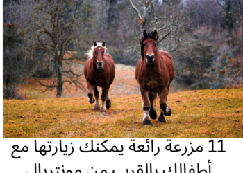 11 مزرعة رائعة يمكنك زيارتها مع أطفالك بالقرب من مونتريال