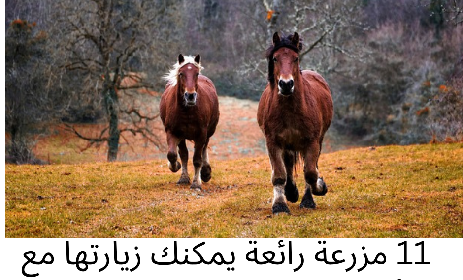 11 مزرعة رائعة يمكنك زيارتها مع أطفالك بالقرب من مونتريال