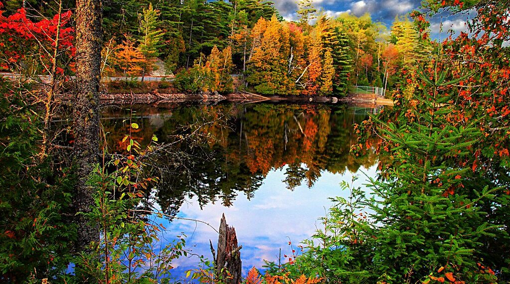 الوقت المناسب لزيارة كندا للقيام بالأنشطة الشتوية و اكتشاف الحياة البرية