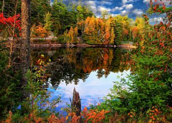 الوقت المناسب لزيارة كندا للقيام بالأنشطة الشتوية و اكتشاف الحياة البرية