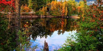 الوقت المناسب لزيارة كندا للقيام بالأنشطة الشتوية و اكتشاف الحياة البرية