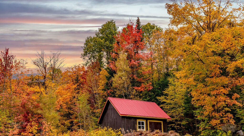أجمل مدينة كندية ينصح بزيارتها خلال فصل الخريف