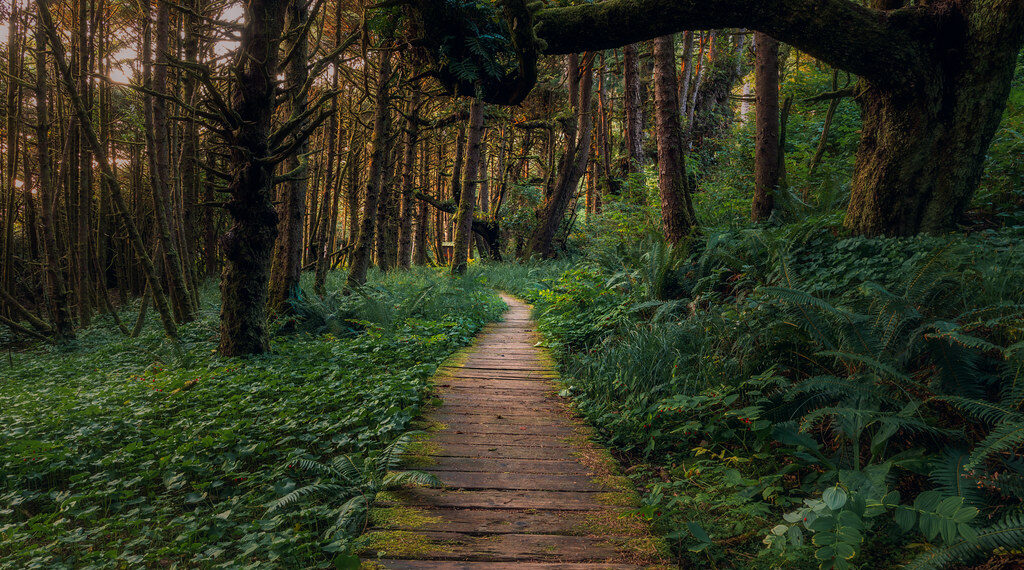 10 أماكن مذهلة تعتبر من الجواهر الخفية في كندا التي ينصح بزيارتها هذا الخريف