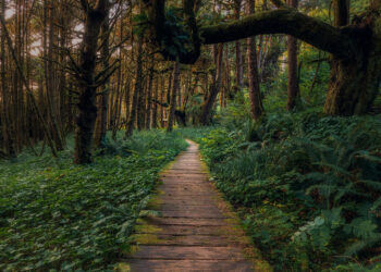 10 أماكن مذهلة تعتبر من الجواهر الخفية في كندا التي ينصح بزيارتها هذا الخريف