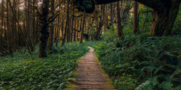 10 أماكن مذهلة تعتبر من الجواهر الخفية في كندا التي ينصح بزيارتها هذا الخريف