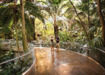 أفضل الأنشطة التي يمكن القيام بها في مونتريال مع الأطفال خلال الخريف