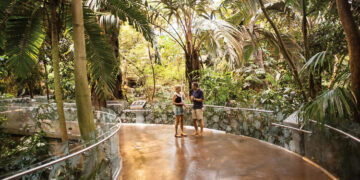 أفضل الأنشطة التي يمكن القيام بها في مونتريال مع الأطفال خلال الخريف