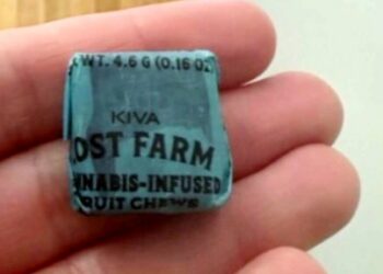 العثور على حلوى القنب ضمن حدث للاحتفال بعيد الهالوين في إحدى المدارس الابتدائية