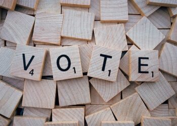 التصويت المبكر في ميشيغان قبل انتخابات 7 نوفمبر/تشرين الثاني