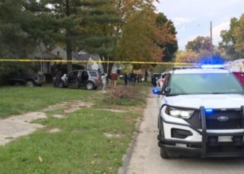 وفاة طفل يبلغ من العمر أربع سنوات بعدَ مهاجمته من قِبل كلب في ديترويت