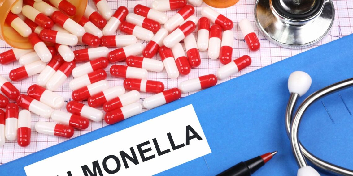 تحذيرات من تفشي السالمونيلا المرتبطة بالشمّام ومنتجات الفاكهة في الولايات المتحدة