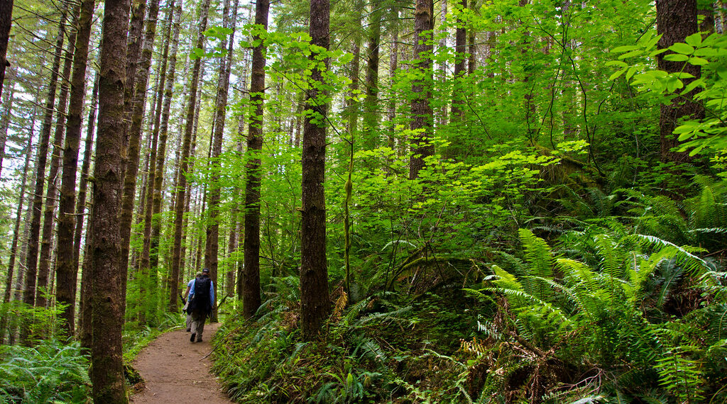 ثلاث مسارات مخصصة للمشي لمسافات طويلة في أمريكا أصبحت الآن جزء من نظام المنتزهات الوطنية