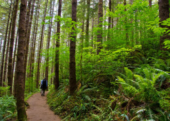 ثلاث مسارات مخصصة للمشي لمسافات طويلة في أمريكا أصبحت الآن جزء من نظام المنتزهات الوطنية