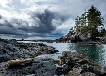 أجواء غائمة ومعتدلة في توقعات طقس ديترويت لهذا الأسبوع