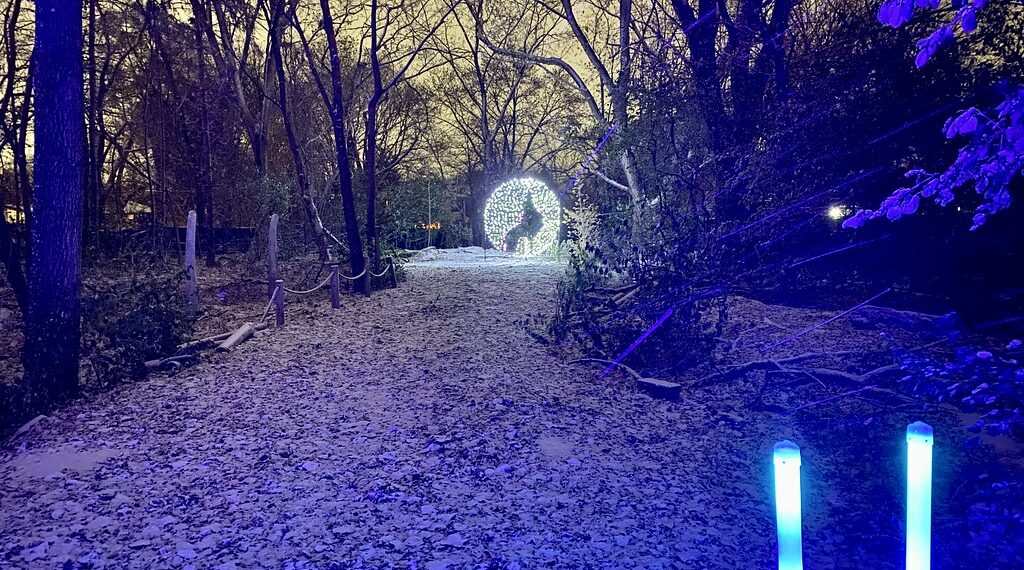 تصنيف فعالية “Wild Lights” في حديقة حيوان ديترويت كواحدة من أفضل الفعاليات في الولايات المتحدة