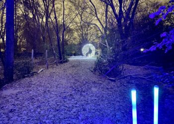 تصنيف فعالية “Wild Lights” في حديقة حيوان ديترويت كواحدة من أفضل الفعاليات في الولايات المتحدة