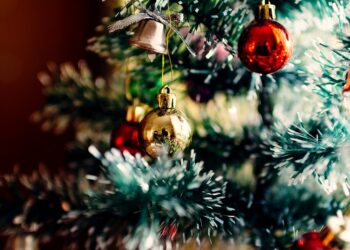 استمتع بأجواء العطلة برحلة مميزة سيراً على الأقدام في فعالية Holiday Magic Spectacular في Novi