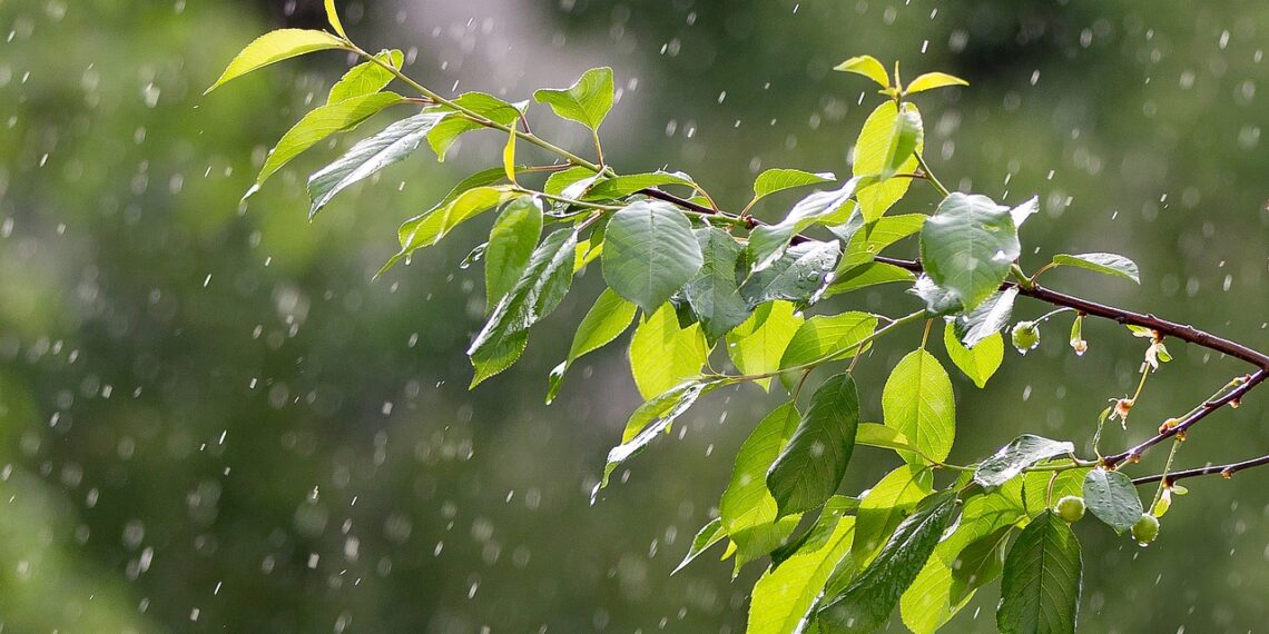 أجواء معتدلة وأمطار غزيرة في توقعات طقس ديترويت لهذا الأسبوع