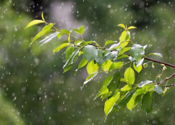 أجواء معتدلة وأمطار غزيرة في توقعات طقس ديترويت لهذا الأسبوع