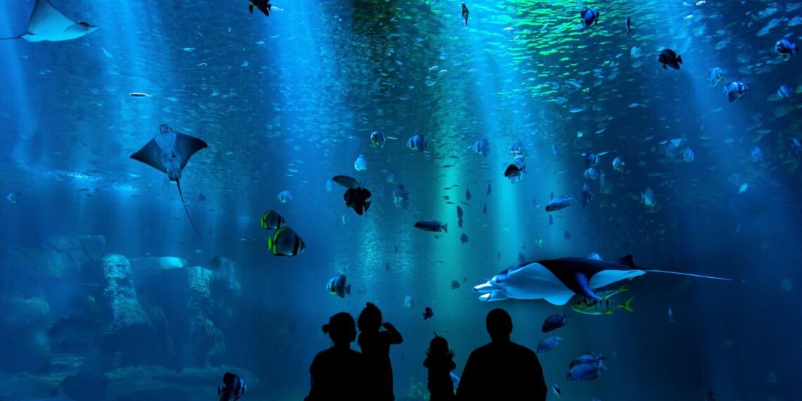 تصنيف حديقة Belle Isle المائية في ديترويت على أنها الأجمل في البلاد