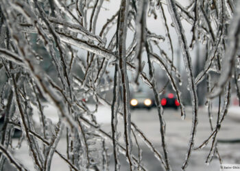 ثلوج وأمطار متجمدة في توقعات طقس ديترويت لهذا الأسبوع