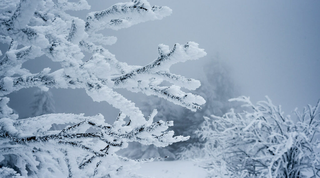 أجواء باردة وتحذير من تشكل الجليد في توقعات طقس ديترويت لهذا الأسبوع