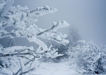 أجواء باردة وتحذير من تشكل الجليد في توقعات طقس ديترويت لهذا الأسبوع