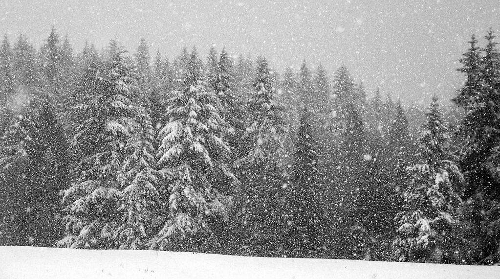 رياح عاصفة وأمطار غزيرة وثلوج في توقعات طقس مترو ديترويت لهذا الأسبوع