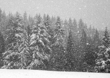 رياح عاصفة وأمطار غزيرة وثلوج في توقعات طقس مترو ديترويت لهذا الأسبوع