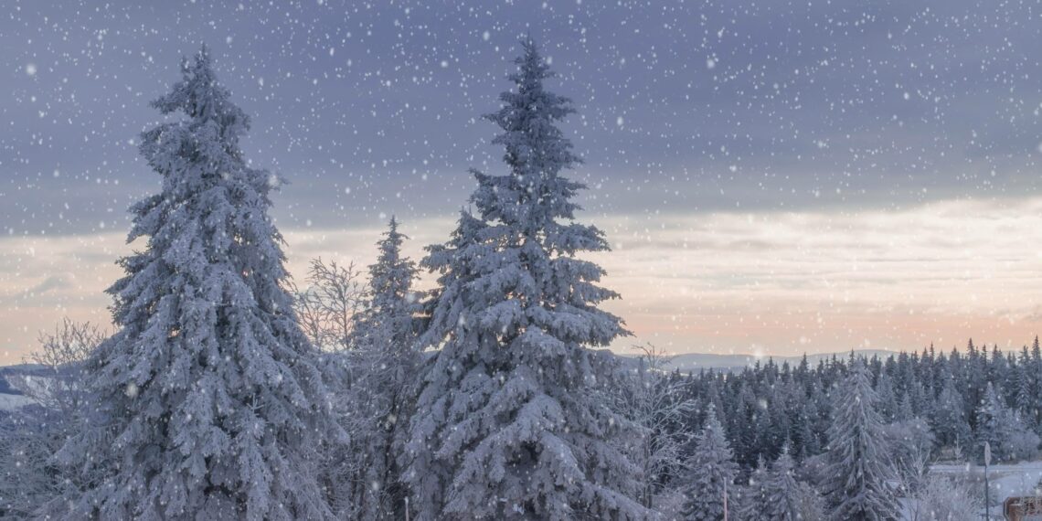 أجواء باردة وتساقط للثلوج في توقعات طقس مترو ديترويت لهذا الأسبوع