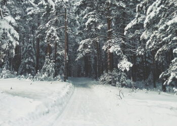 أجواء باردة وثلوج وأمطار في توقعات طقس ديترويت لهذا الأسبوع