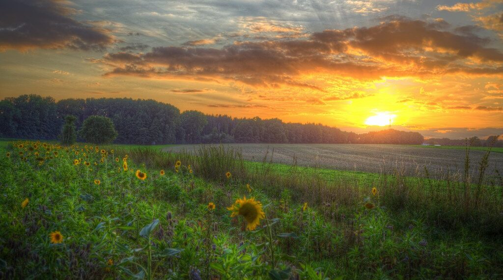 أجواء مشمسة ودافئة في توقعات طقس مترو ديترويت لهذا الأسبوع