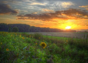 أجواء مشمسة ودافئة في توقعات طقس مترو ديترويت لهذا الأسبوع