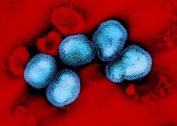 تسجيل أول حالة وفاة مرتبطة بالأنفلونزا بين الأطفال في ميشيغان