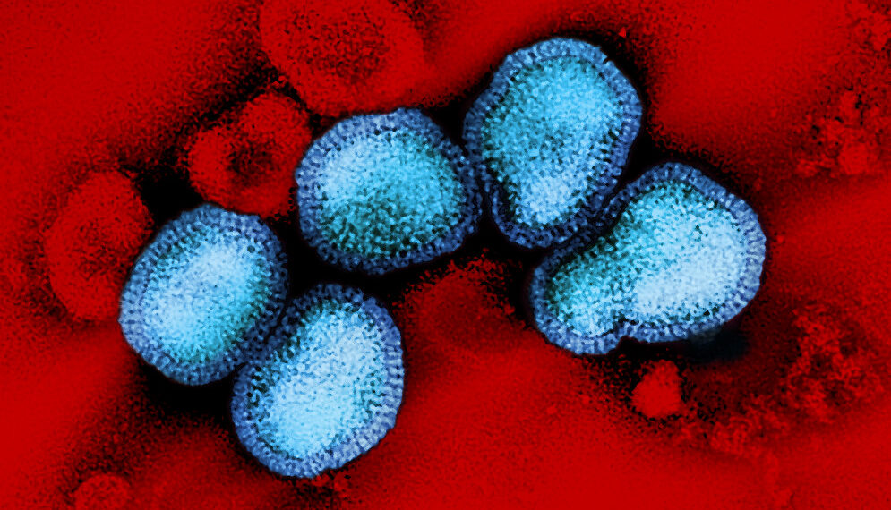 تسجيل أول حالة وفاة مرتبطة بالأنفلونزا بين الأطفال في ميشيغان