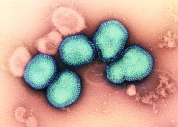 انتشار الأنفلونزا على نطاق واسع في ميشيغان