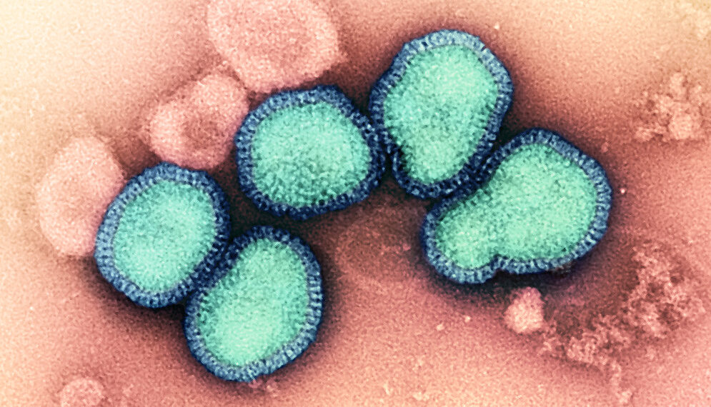 انتشار الأنفلونزا على نطاق واسع في ميشيغان