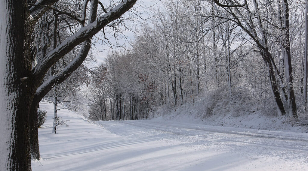 احتمال أن نشهد تراكماً للثلوج في أجزاء من ولاية ميشيغان