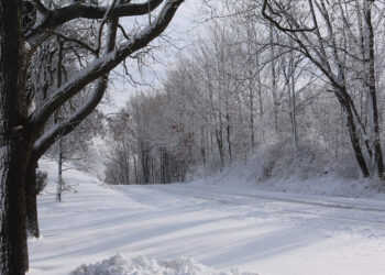 احتمال أن نشهد تراكماً للثلوج في أجزاء من ولاية ميشيغان