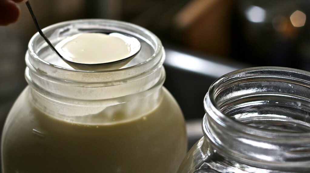 وزارة الصحة في ميشيغان تحذر من استهلاك الحليب غير المبستر وسط تفشي أنفلونزا الطيور